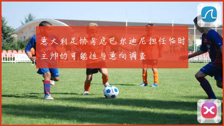 意大利足协考虑巴尔迪尼担任临时主帅的可能性与意向调查